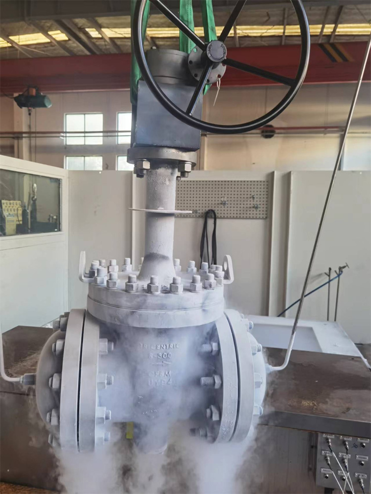 Cryogenic Butterfly Valve